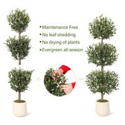 5FT Tall Artificial Olive Tree for Home Decor