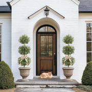 5FT Tall Artificial Olive Tree for Home Decor