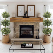 5FT Tall Artificial Olive Tree for Home Decor