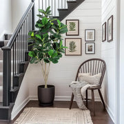Faux Fiddle Leaf Fig Tree 6ft Tall Home Decor