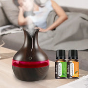Compact Aromatherapy Humidifier USB Diffuser with Oils