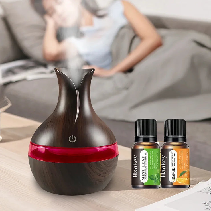 Compact Aromatherapy Humidifier USB Diffuser with Oils