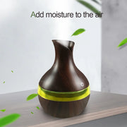 Compact Aromatherapy Humidifier USB Diffuser with Oils