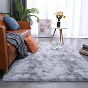 Thick Plush Area Rug for Living Room and Bedroom
