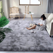 Thick Plush Area Rug for Living Room and Bedroom